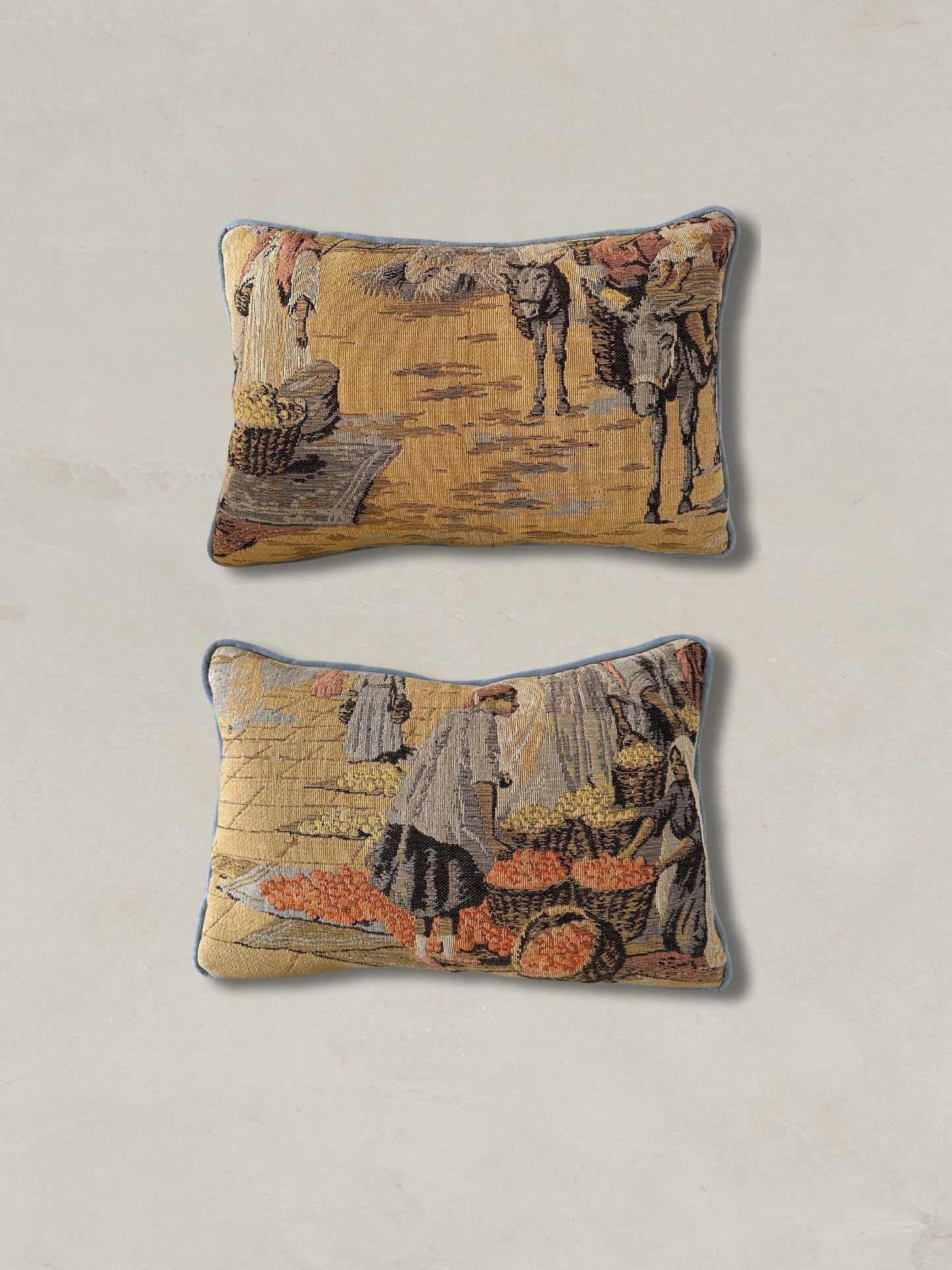 The Citrus Grove Pillows, a pair